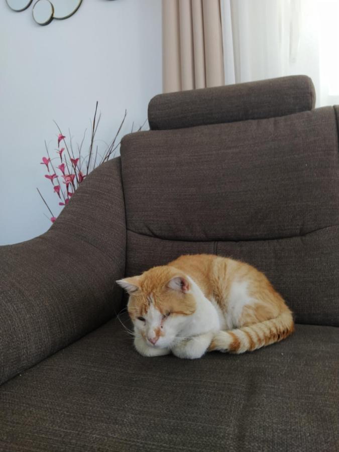 Apartment Juric โตรกีร์ ภายนอก รูปภาพ