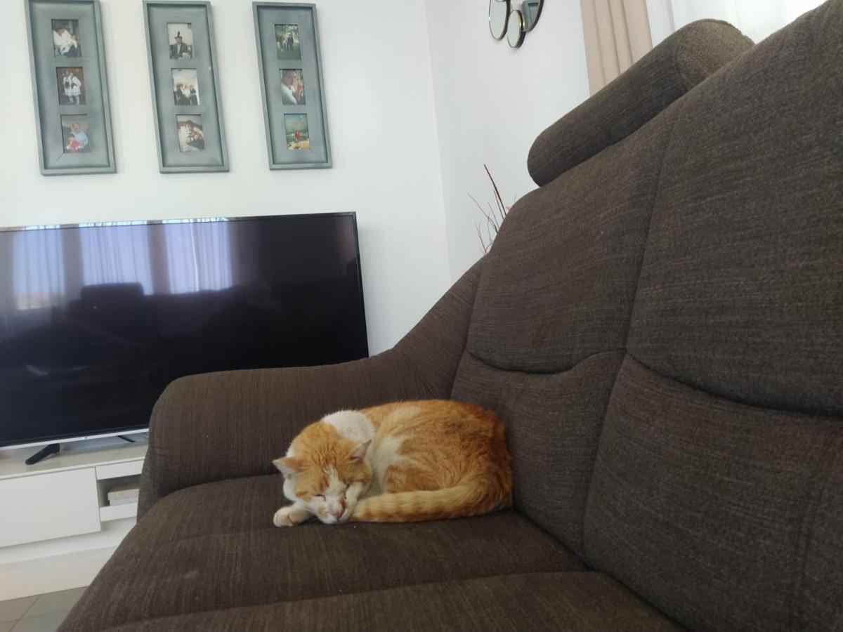 Apartment Juric โตรกีร์ ภายนอก รูปภาพ